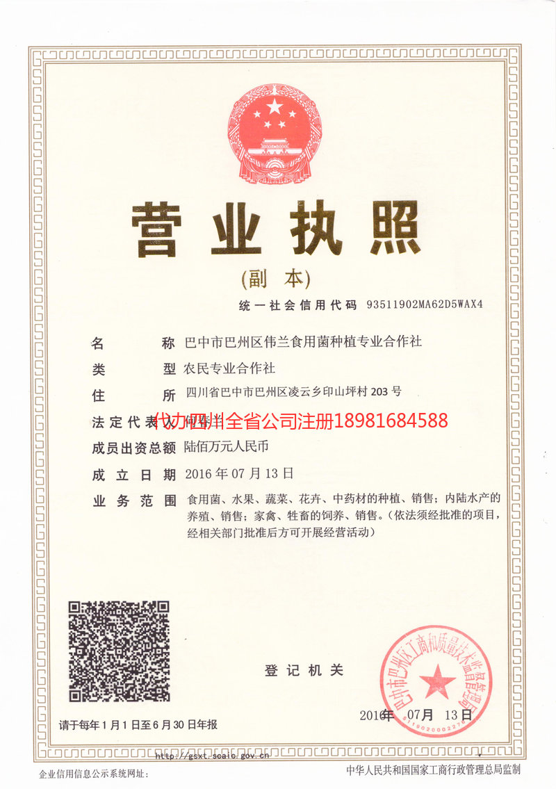 辉县辉县伟兰食用菌种植专业合作社